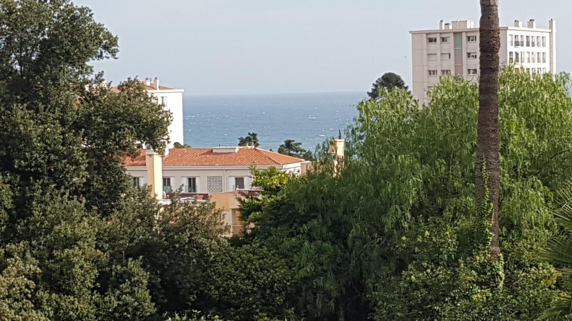 Les Palmiers A 700M De La Mer Nicea Pokój zdjęcie