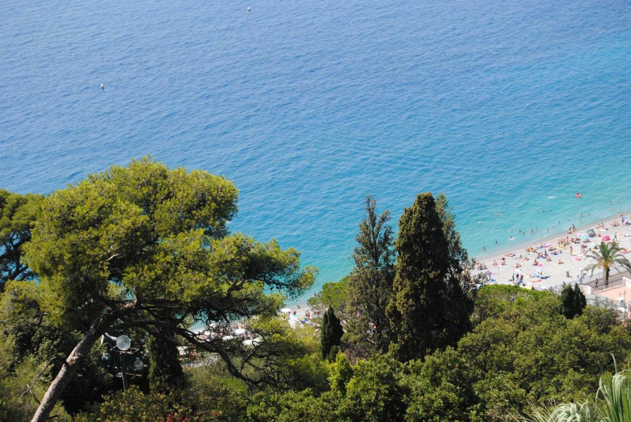 Les Palmiers A 700M De La Mer Nicea Zewnętrze zdjęcie