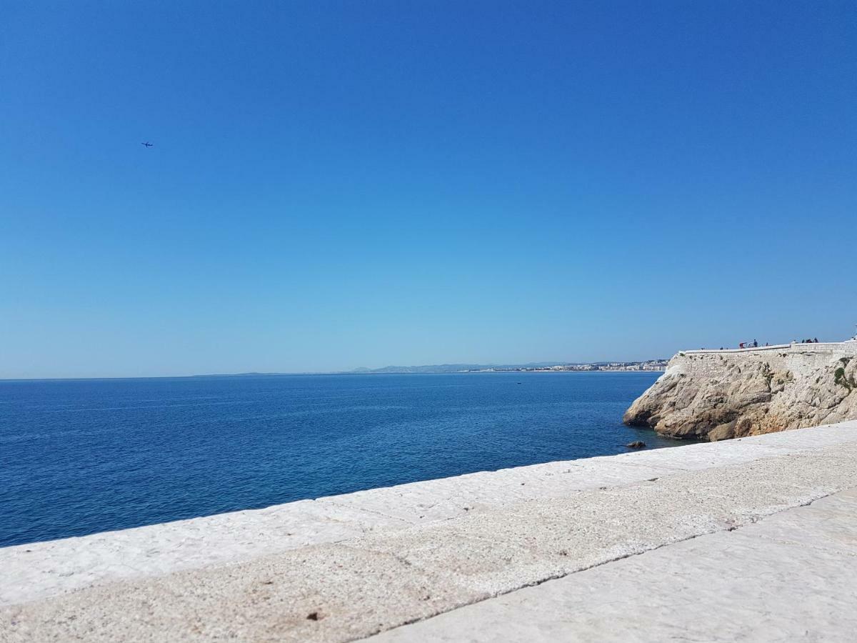Les Palmiers A 700M De La Mer Nicea Zewnętrze zdjęcie